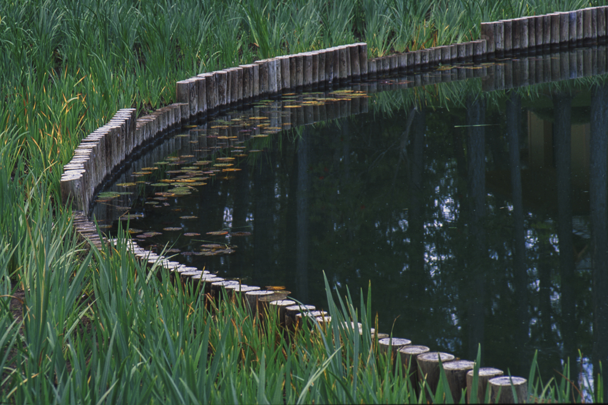 image: japanese garden